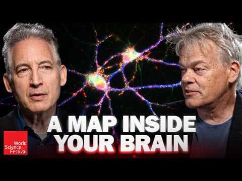 How does the brain map space with grid cells thumbnail
