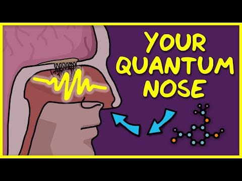 You Use Quantum Physics to Smell thumbnail