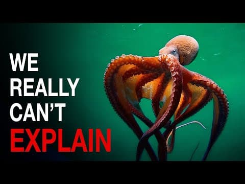 Nothing About Octopus Is Normal… Here’s Why thumbnail