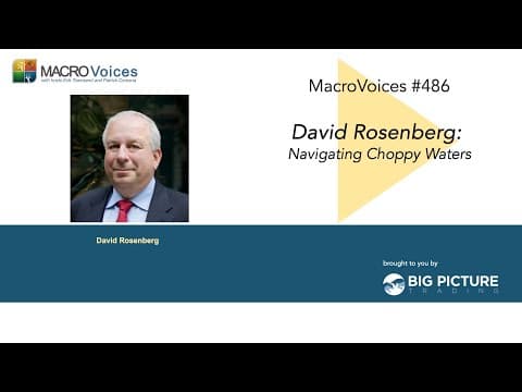 MacroVoices #486 David Rosenberg: Navigating Choppy Waters thumbnail