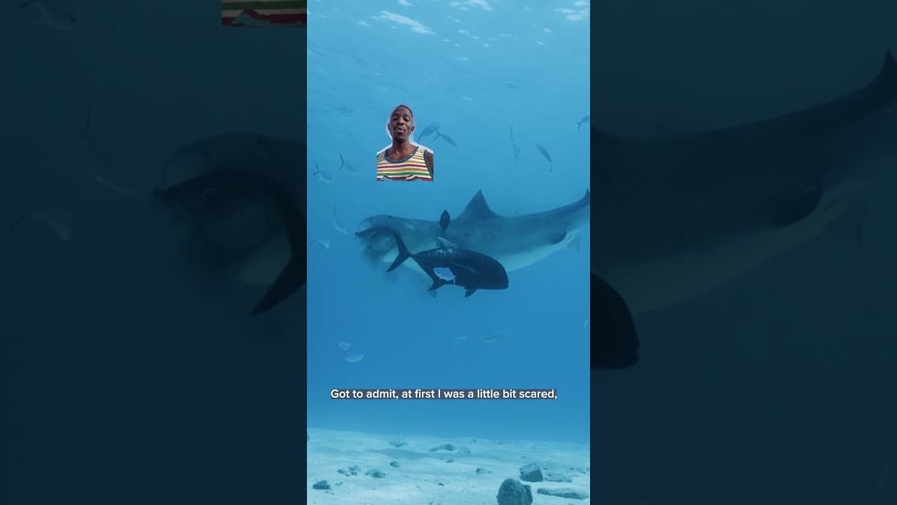 YouTube video player