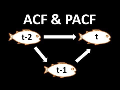 Time Series Talk : Autocorrelation and Partial Autocorrelation thumbnail