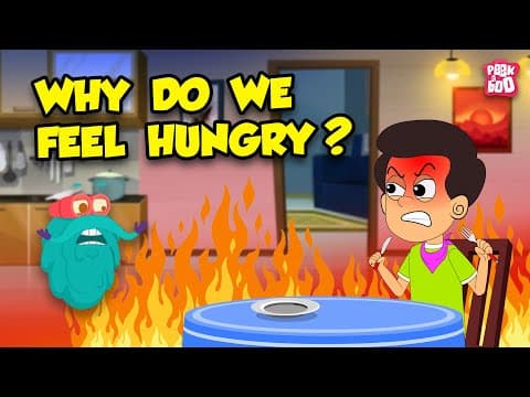 Why Do We Feel Hungry? | What Happens in Your Body When You're Hungry? | Ghrelin Hormone | Dr Binocs thumbnail