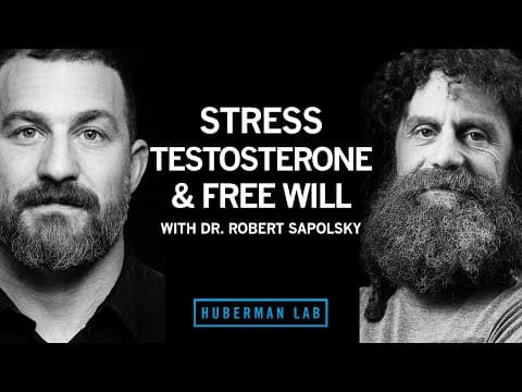 Dr. Robert Sapolsky: Science of Stress, Testosterone & Free Will | Huberman Lab Podcast #35 thumbnail