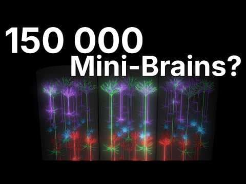 Your Brain Is 150,000 Mini-Brains thumbnail