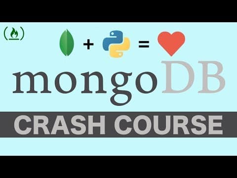 MongoDB with Python Crash Course - Tutorial for Beginners thumbnail