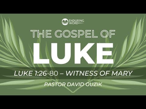 Luke 1:26-80 - Witness of Mary thumbnail
