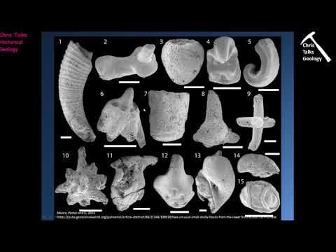 Paleozoic Life History (Invertebrates) - Part 1 thumbnail