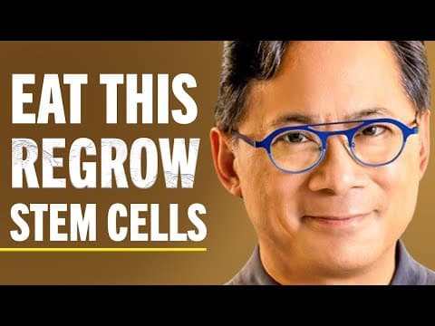 How Can Food Support Stem Cells and Circulation? thumbnail