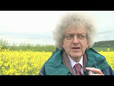 How Can Plants Be Used for Sustainable Chemical Production? thumbnail