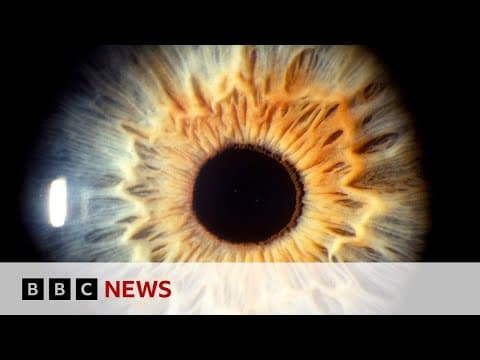 See what your brain does when you look at art | BBC News thumbnail