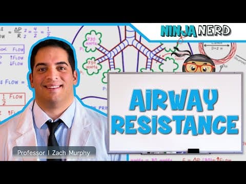 How Does Airway Resistance Control Gas Flow? thumbnail