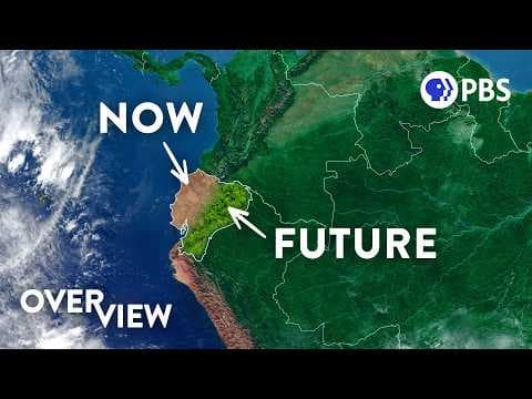 Why This Unusual Pattern May Save the Rainforests thumbnail