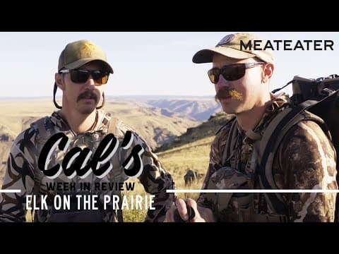 Cal in the Field: Elk on the Prairie | S1E01 | MeatEater thumbnail