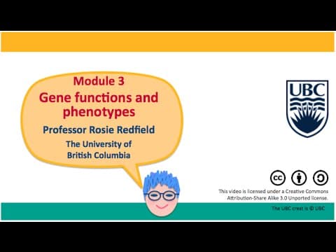 3C - Catalytic proteins (enzymes) thumbnail