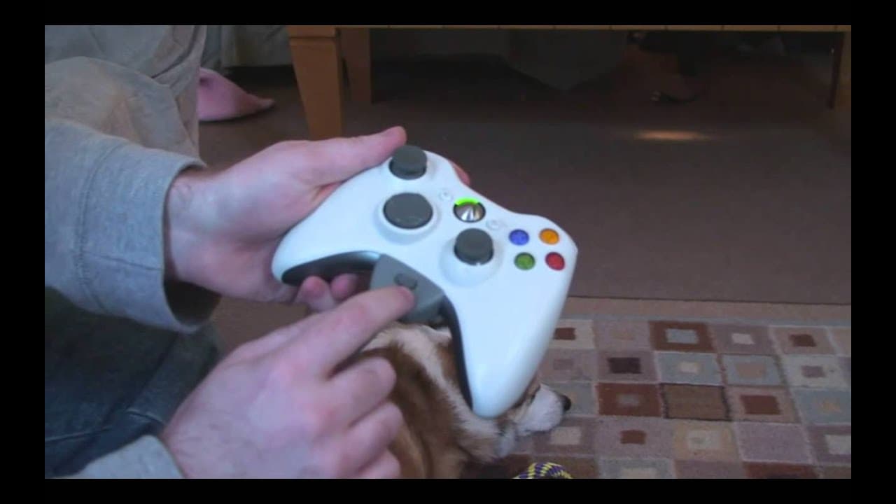 YouTube video player