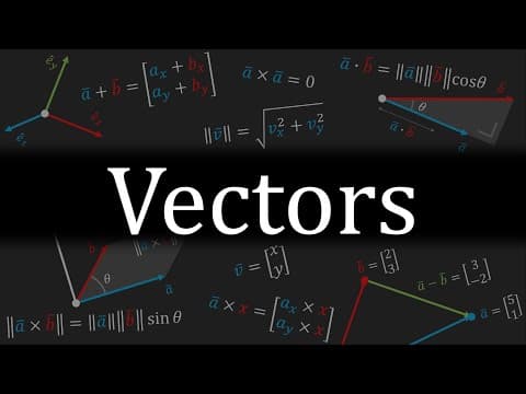 Everything You Need to Know About VECTORS thumbnail