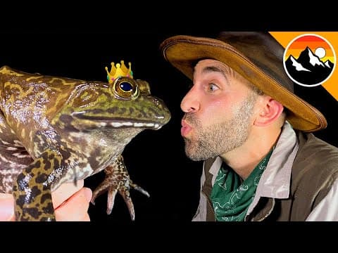 How to Catch a Giant Bullfrog in Texas Swamps thumbnail