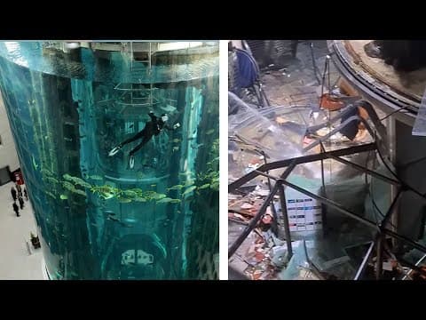 What Are the Risks of Glass Enclosures at Zoos? thumbnail