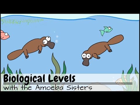 Biological Levels in Biology: The World Tour thumbnail