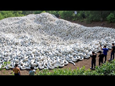 One in a Billion Moments in Nature thumbnail