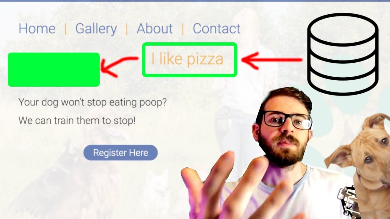 YouTube video player