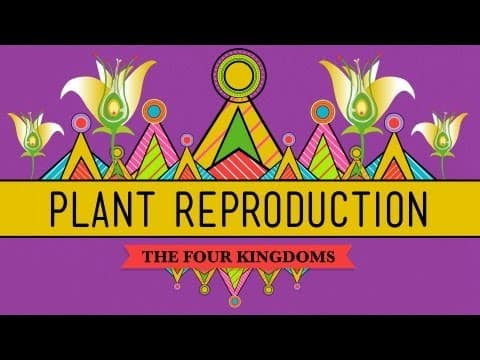 How Do Vascular Plants Reproduce? thumbnail