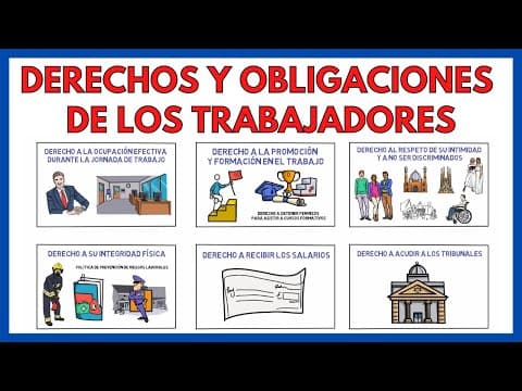 DERECHOS y OBLIGACIONES de los TRABAJADORES | Economía de la empresa 161# thumbnail
