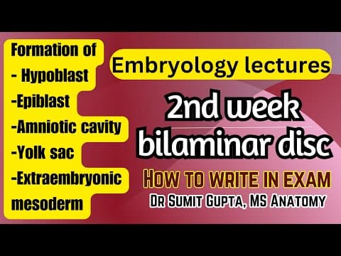 2nd week of development | General Embryology | thumbnail