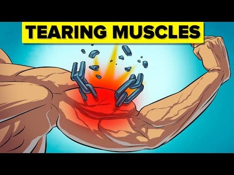 What Happens to Your Muscles When You Work Out? thumbnail