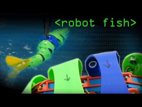 Robotic Fish - Computerphile thumbnail
