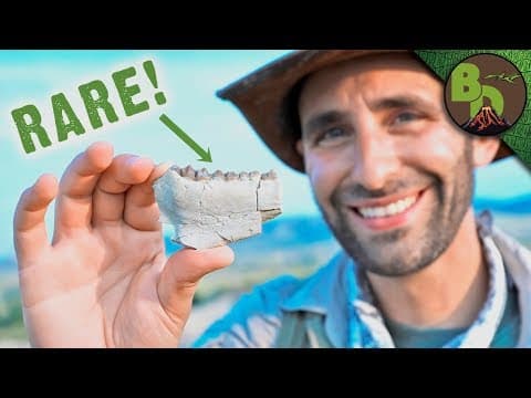 How to Find Fossils in the Badlands thumbnail