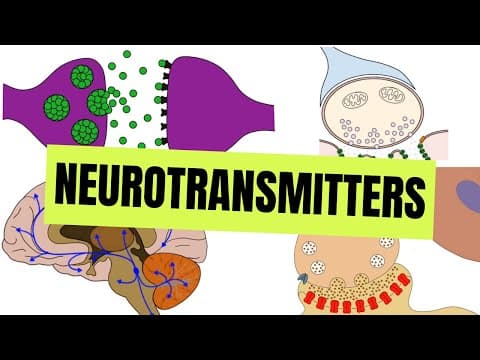 Neurotransmitters thumbnail