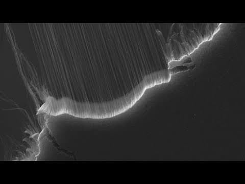 Electron microscope animation: Carbon nanotubes pulled into thread thumbnail