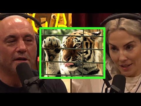 The Cruelty of Keeping Exotic Animals in Captivity thumbnail