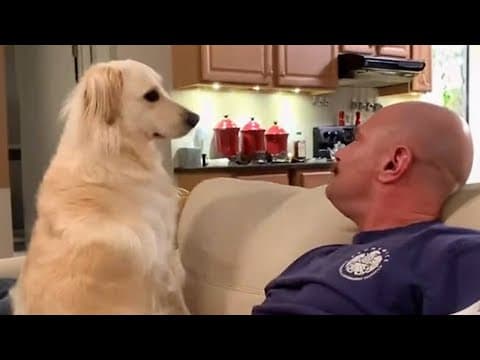 When my dog is more than just a pet 🐶 Funny Dog and Human thumbnail