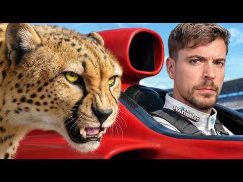 World's Fastest Car Vs Cheetah! thumbnail