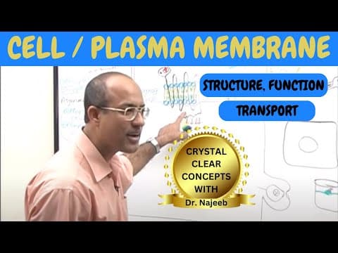 Cell or Plasma Membrane | Structure , Function & Transport🧬 thumbnail