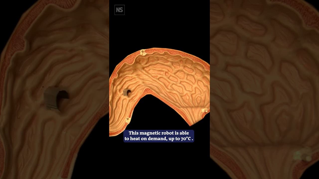 YouTube video player