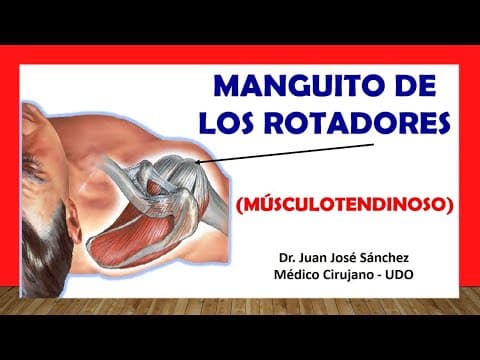 🥇 Anatomía del MANGUITO ROTADOR, Fácil y Rápida thumbnail