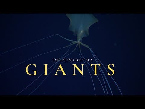 Deep Sea Gigantism | Why the Ocean Breeds Giants thumbnail
