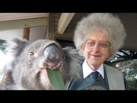 Why Do Koalas Eat Eucalyptus Leaves? thumbnail
