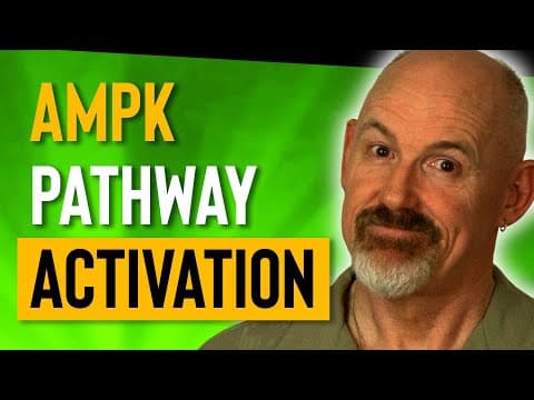AMPK Pathway Activation | AMP-Activated Protein Kinase [2019] thumbnail