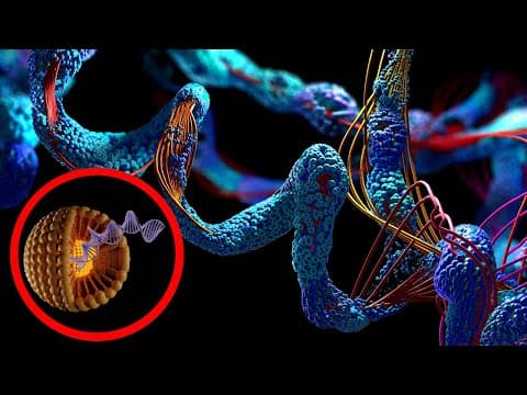 ¿Qué son las BIOMOLÉCULAS? Sus funciones, tipos y ejemplos🔬🧬 thumbnail