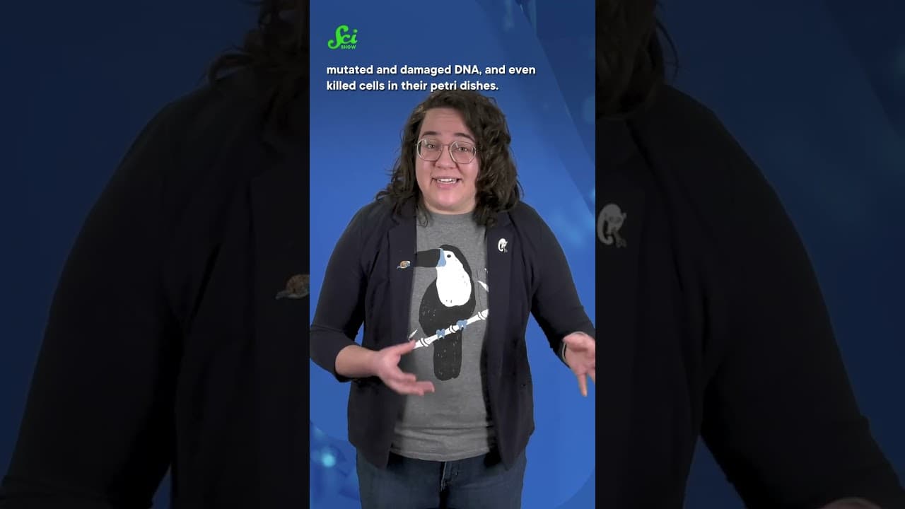 YouTube video player