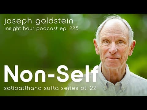 Understanding Formation & Consciousness with Joseph Goldstein – Insight Hour Ep. 225 (SSS Pt. 22) thumbnail