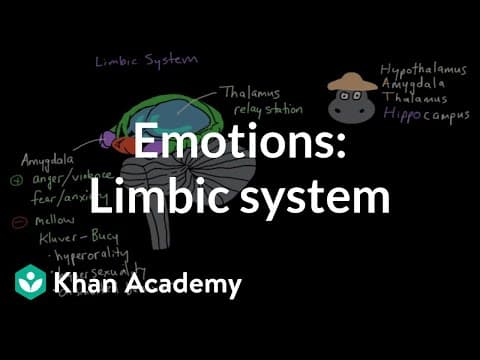 Emotions: limbic system | Processing the Environment | MCAT | Khan Academy thumbnail