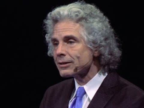 The Decline of Violence | Steven Pinker thumbnail