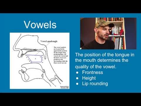 Phonetics: Intro to linguistics [Video 2] thumbnail