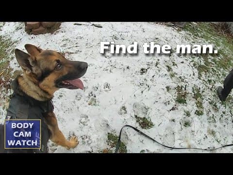 How a Police K9 Takes Down a Hit-and-Run Suspect thumbnail
